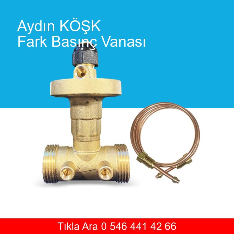 Aydın