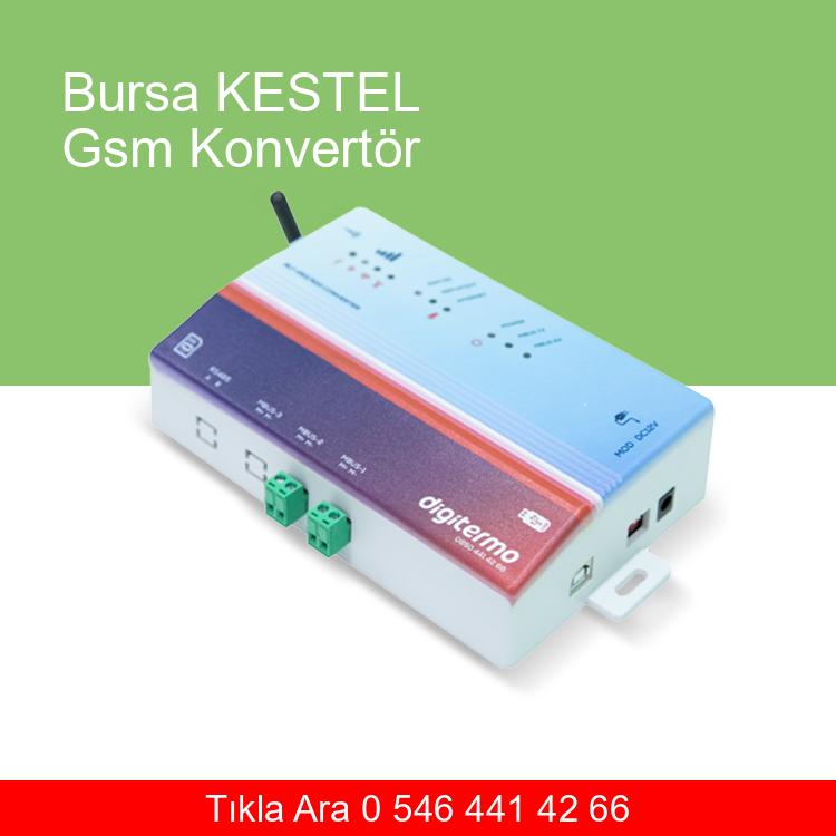Bursa