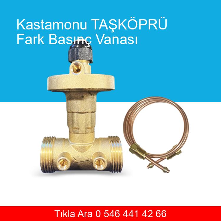 Kastamonu